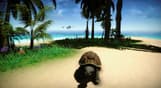 Forgotten Seas - Early Access