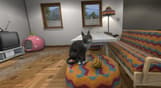 House Flipper Pets VR