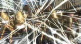 EARTH DEFENSE FORCE 4.1 The Shadow of New Despair