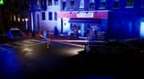 Police Simulator: Patrol Officers: Gold Edition