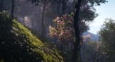 theHunter: Call of the Wild™ - Sundarpatan Nepal Hunting Reserve