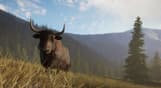 theHunter: Call of the Wild™ - Sundarpatan Nepal Hunting Reserve