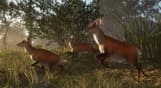 theHunter: Call of the Wild™ - Sundarpatan Nepal Hunting Reserve