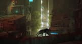Stray