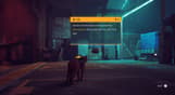 Stray