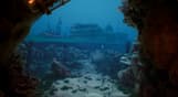 Thalassa: Edge of the Abyss