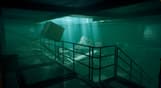 Thalassa: Edge of the Abyss