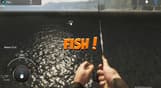 Fishing Adventure: Finland Reserve