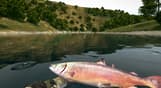 Ultimate Fishing Simulator