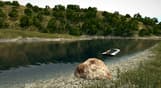 Ultimate Fishing Simulator