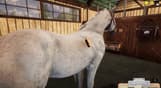 Animal Shelter - Horse Shelter DLC