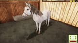 Animal Shelter - Horse Shelter DLC