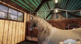 Animal Shelter - Horse Shelter DLC