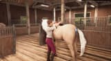 My Horse: Bonded Spirits