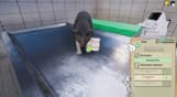 Animal Shelter - Vet Clinic DLC