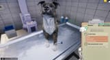 Animal Shelter - Vet Clinic DLC