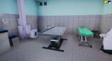 Animal Shelter - Vet Clinic DLC