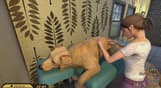 Pets Hotel