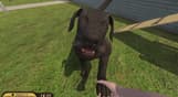 Pets Hotel
