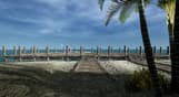 Ultimate Fishing Simulator - Florida DLC