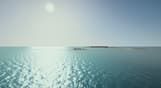Ultimate Fishing Simulator - Florida DLC