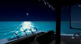 Ultimate Fishing Simulator - Florida DLC
