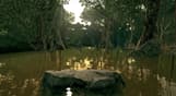 Ultimate Fishing Simulator - Amazon River DLC