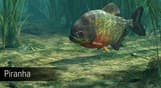 Ultimate Fishing Simulator - Amazon River DLC