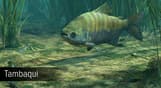 Ultimate Fishing Simulator - Amazon River DLC