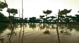 Ultimate Fishing Simulator - Amazon River DLC