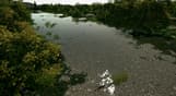 Ultimate Fishing Simulator - Taupo Lake DLC