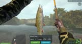 Ultimate Fishing Simulator - Taupo Lake DLC