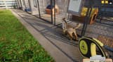 Animal Shelter