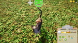 Animal Shelter