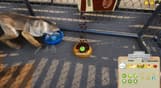 Animal Shelter