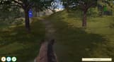 Animal Trainer Simulator