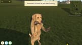 Animal Trainer Simulator