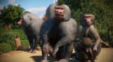 Planet Zoo: Zookeepers Animal Pack