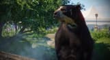 Planet Zoo: Zookeepers Animal Pack