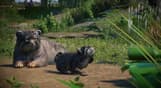 Planet Zoo: Zookeepers Animal Pack