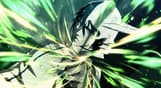 BLEACH Rebirth of Souls Deluxe Edition