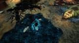 Empires of the Undergrowth - Exploding Ants