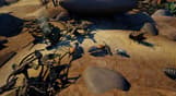 Empires of the Undergrowth - Exploding Ants