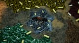 Empires of the Undergrowth - Exploding Ants
