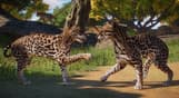 Planet Zoo: Americas Animal Pack