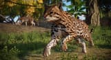 Planet Zoo: Americas Animal Pack