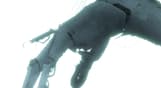 Bionic Bay Deluxe Edition