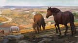 Crusader Kings III: Khans of the Steppe