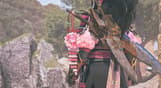 Monster Hunter Wilds - Blossomdance DLC Pack