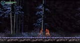 Chronicles of the Wolf
